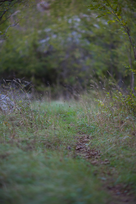 Izlet na Kudin most, foto: Darko Belančić Izlet na Kudin most, foto: Darko Belančić