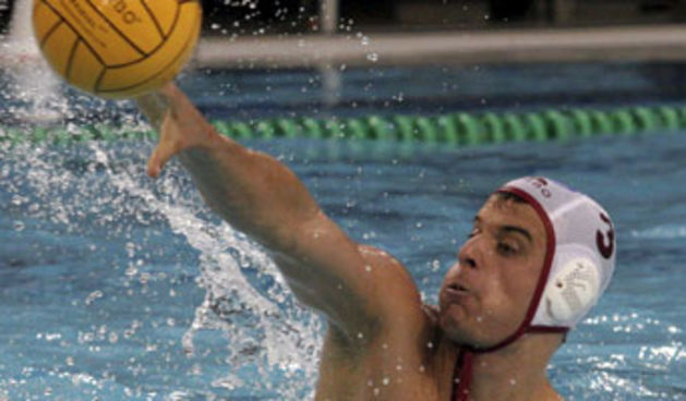 Image 1201873 (auto)