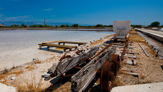 Solana Nin, berba soli, foto: Leo Banić