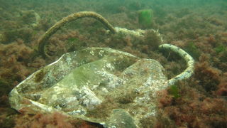 Biograd na Moru: Akcija ciscenja podmorja u uvali Jaz “Cistimo zajedno”
