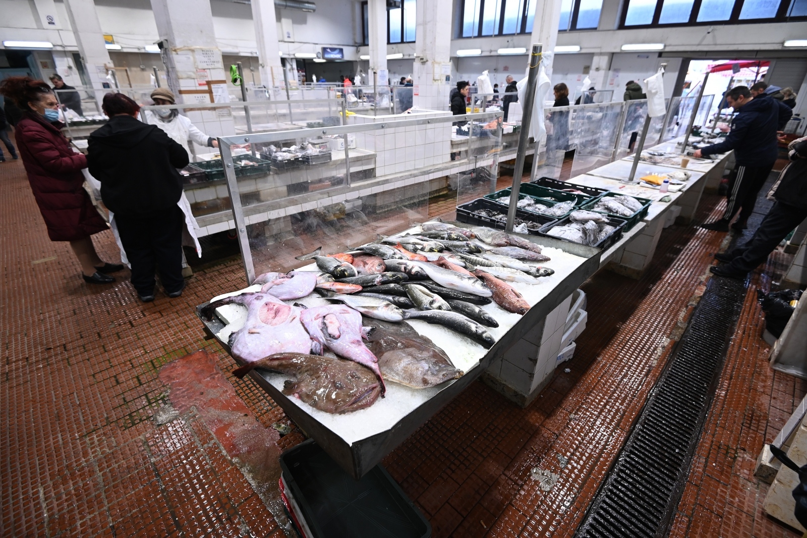 Bogata ponuda ribe na gradskoj ribarnici Bogata ponuda ribe na gradskoj ribarnici