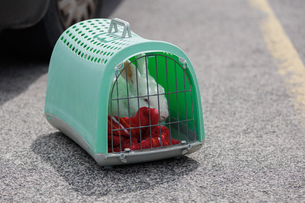 Đir po gradu, 16. travnja 2025. Đir po gradu, 16. travnja 2025.