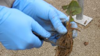 OLYMPUS DIGITAL CAMERA OLYMPUS DIGITAL CAMERA