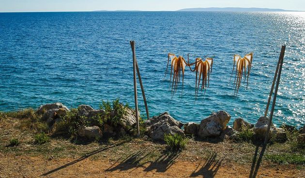 Sušenje ribe dio je kulturne baštine otoka Paga