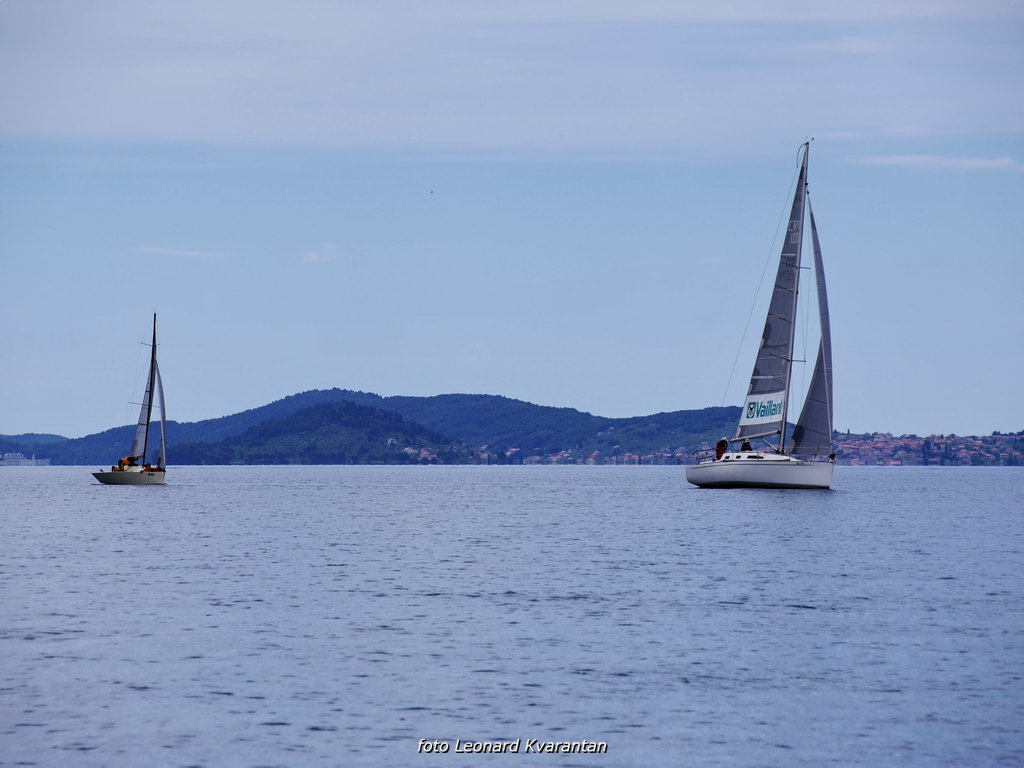 Image 441273 (auto) Image 441273 (auto)