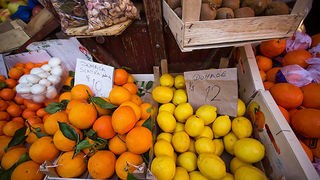 Đir po pijaci, 30. siječnja 2012. (foto:Saša Čuka)