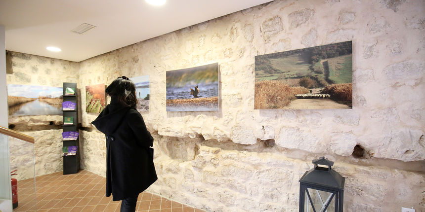 Mediji i uzvanici posjetili Polaču, Vransko jezero i Maškovića han Mediji i uzvanici posjetili Polaču, Vransko jezero i Maškovića han