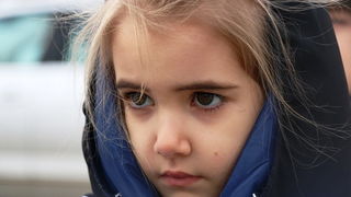 Virski karnevalić 2016. Virski karnevalić 2016.