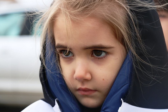 Virski karnevalić 2016. Virski karnevalić 2016.