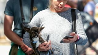 Međunarodna izložba pasa CACIB 2023