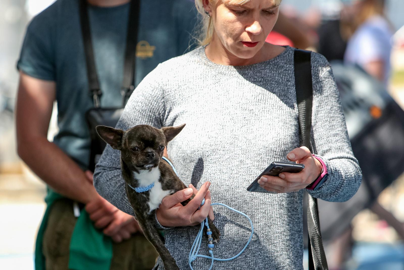 Međunarodna izložba pasa CACIB 2023