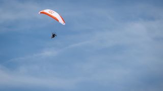 Wings for life 2025.