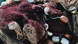 Đir po Skradinu, Foto Kristina Kajic