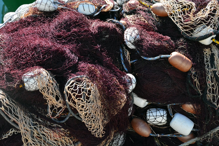 Đir po Skradinu, Foto Kristina Kajic