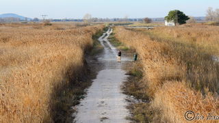 Đir uz Vransko jezero, Foto: Iva Perinić Đir uz Vransko jezero, Foto: Iva Perinić