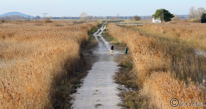 Đir uz Vransko jezero, Foto: Iva Perinić Đir uz Vransko jezero, Foto: Iva Perinić