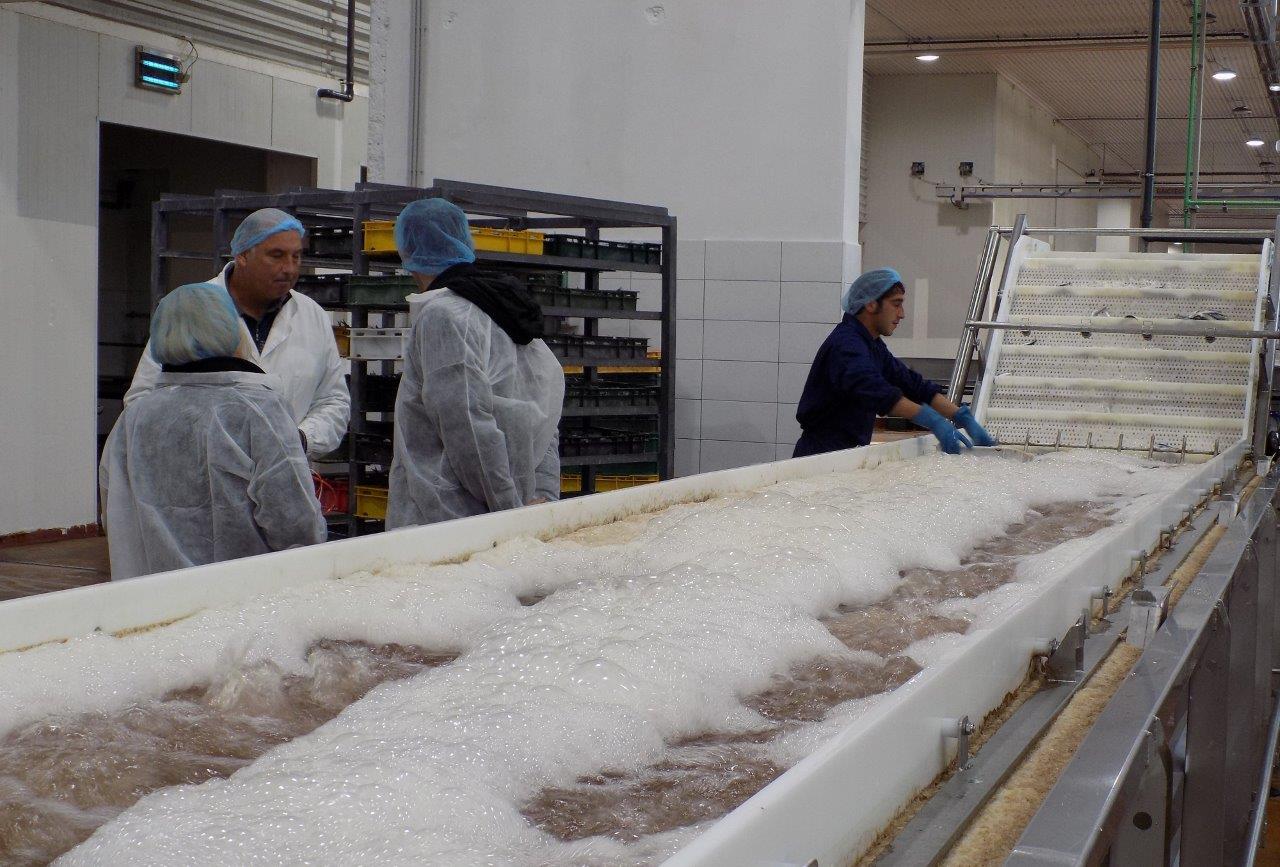 Otvoren pogon tvrtke Mardešić