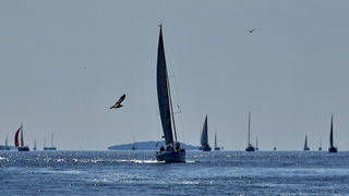 20. Rotary regata u organizaciji RC Zadar 20. Rotary regata u organizaciji RC Zadar