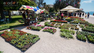 Đir po gradu, četvrtak 19. travnja 2018. Đir po gradu, četvrtak 19. travnja 2018.