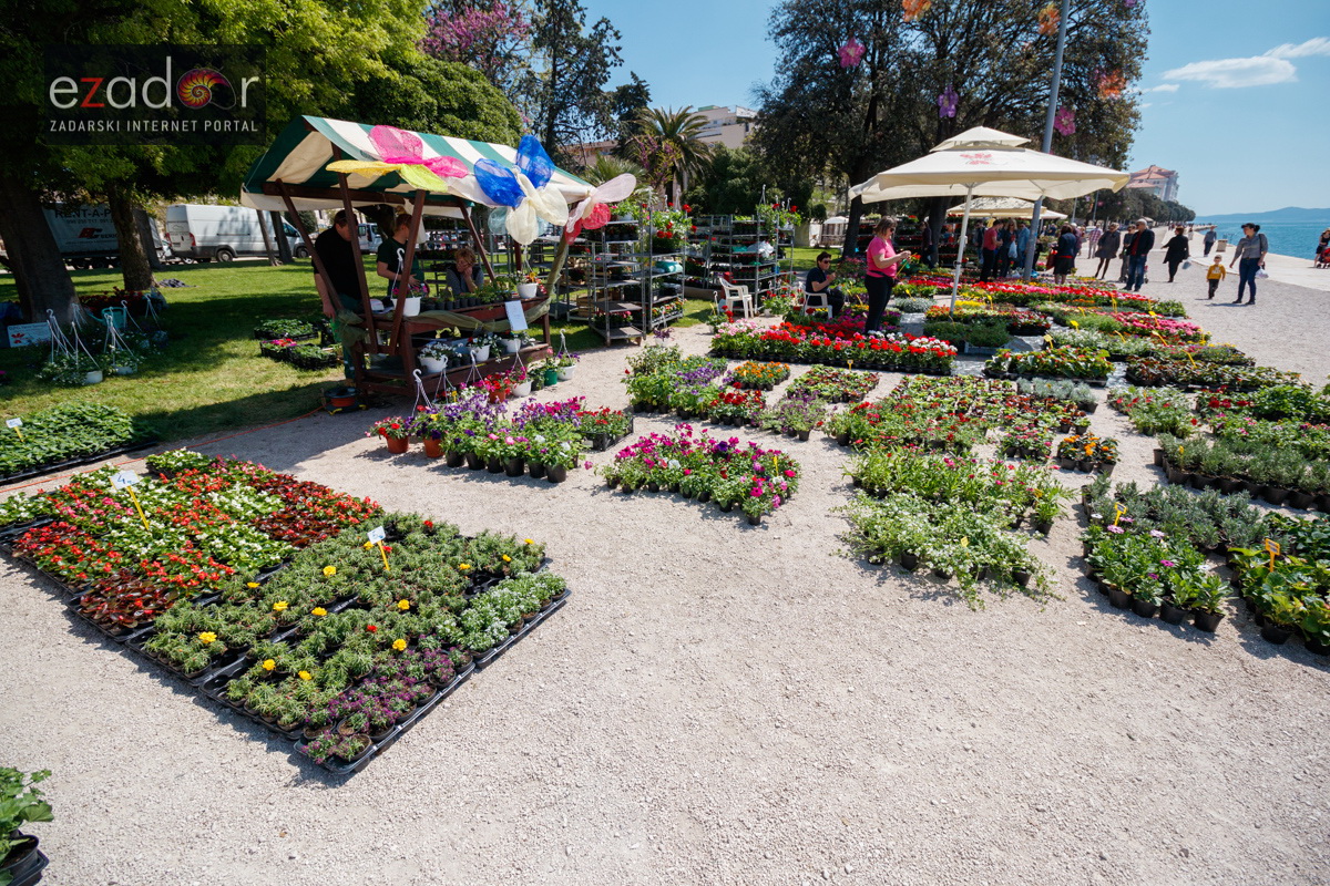 Đir po gradu, četvrtak 19. travnja 2018. Đir po gradu, četvrtak 19. travnja 2018.