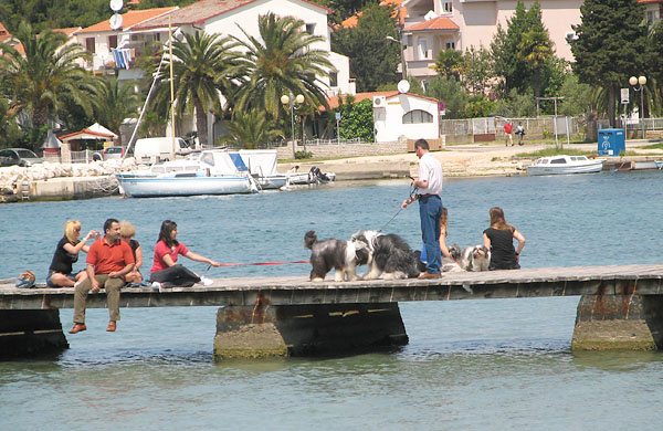 Image 1171069 (auto)