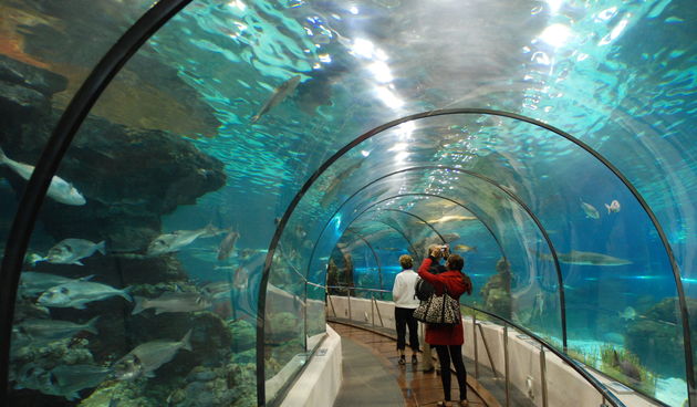 U Vranjicu se otvara najveći akvarij u Hrvatskoj, foto: en.wikipedia.org