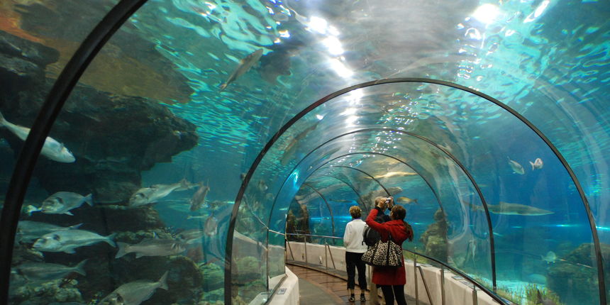 U Vranjicu se otvara najveći akvarij u Hrvatskoj, foto: en.wikipedia.org U Vranjicu se otvara najveći akvarij u Hrvatskoj, foto: en.wikipedia.org