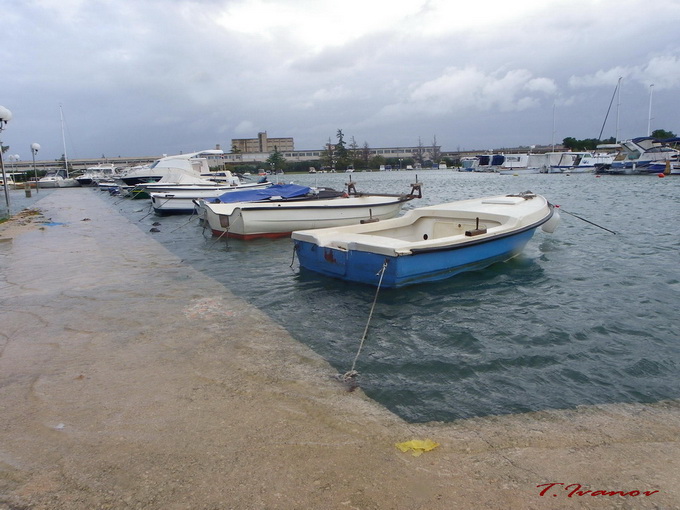 Plima u uvali Bregdetti, foto: T. Ivanov