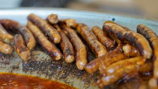 Halid Bešlić otvorio Jarun piknik festival