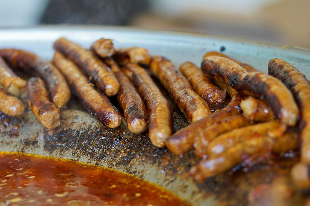 Halid Bešlić otvorio Jarun piknik festival