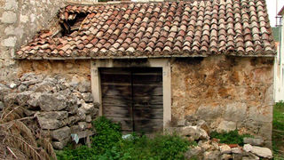 Image 1190449 (auto)