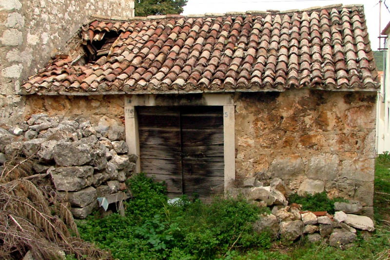 Image 1190449 (auto)