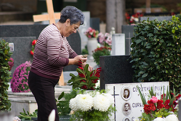 Gradsko groblje uoči blagdana Svih svetih (foto:Saša Čuka) Gradsko groblje uoči blagdana Svih svetih (foto:Saša Čuka)