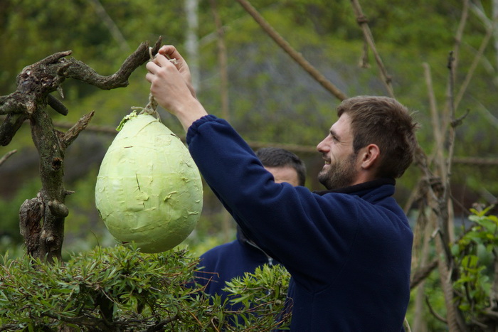 Zagreb, 080412.
U Zooloskom vrtu grada Zagreba neke od zivotinja tradicionalno su bile pocascene uskrsnim jajima. U sarenim pisanicama uzivali su lemuri, smedji kapucini, nosati rakuni, grivasti vukovi i ogrlicaste pekarije.
Na fotografiji: Djelatnici pos Zagreb, 080412.
U Zooloskom vrtu grada Zagreba neke od zivotinja tradicionalno su bile pocascene uskrsnim jajima. U sarenim pisanicama uzivali su lemuri, smedji kapucini, nosati rakuni, grivasti vukovi i ogrlicaste pekarije.
Na fotografiji: Djelatnici pos