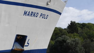 Image 1057533 (auto)