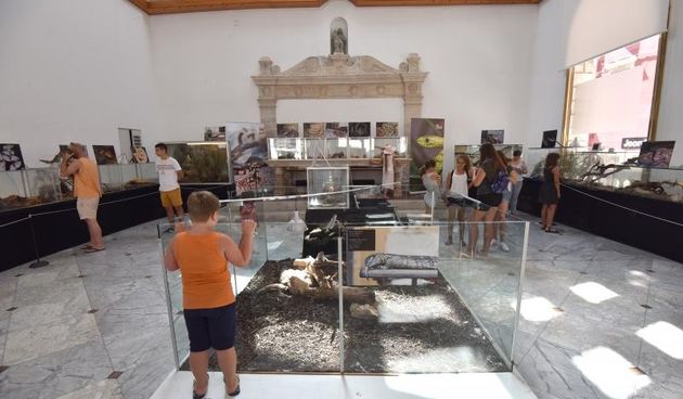 Izložba “Najotrovnije zmije svijeta” u Gradskoj loži