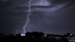 Image 1181563 (auto)