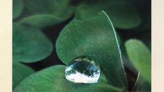 Izložba fotografija Anđele Horvat (foto: Saša Čuka) Izložba fotografija Anđele Horvat (foto: Saša Čuka)