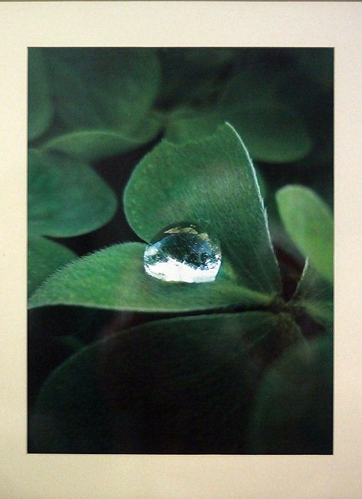 Izložba fotografija Anđele Horvat (foto: Saša Čuka) Izložba fotografija Anđele Horvat (foto: Saša Čuka)