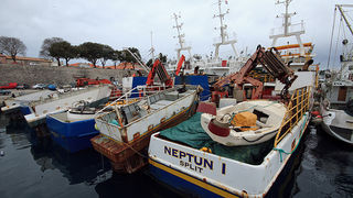 Ribarice u zadarskoj luci, Foto: Leo Banić