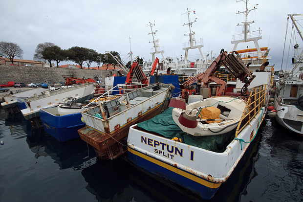 Ribarice u zadarskoj luci, Foto: Leo Banić