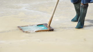 Danas je u Ninu održana berba Cvijeta soli u kojoj su sudjelovali Mate Janković, poznati hrvatski chef, Damir Oštrić, direktor Solane Nin i Marija Dejanović, direktorica Turističke zajednice grada Nina