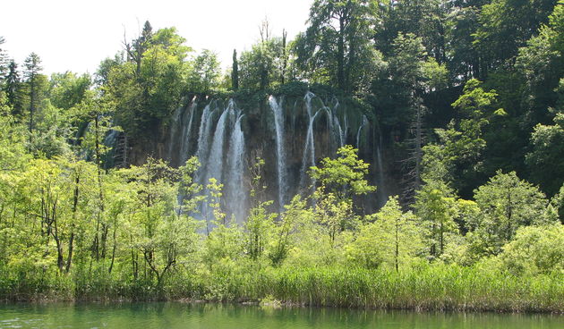 Image 1173415 (auto)