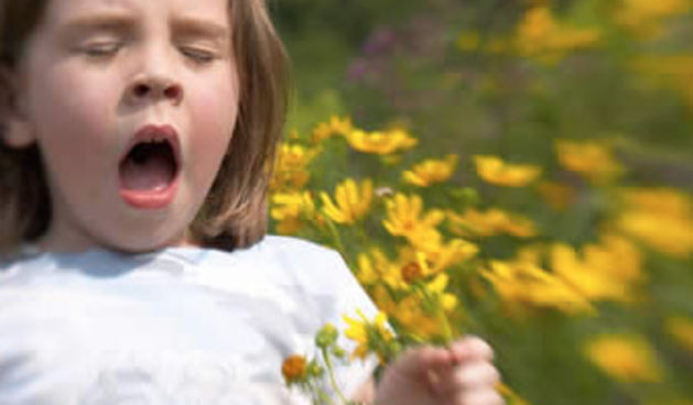 Alergija(foto:infomed.lt)