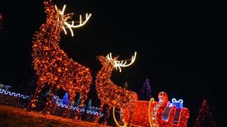 Dva milijuna lampica za božićnu čaroliju na imanju Salaj