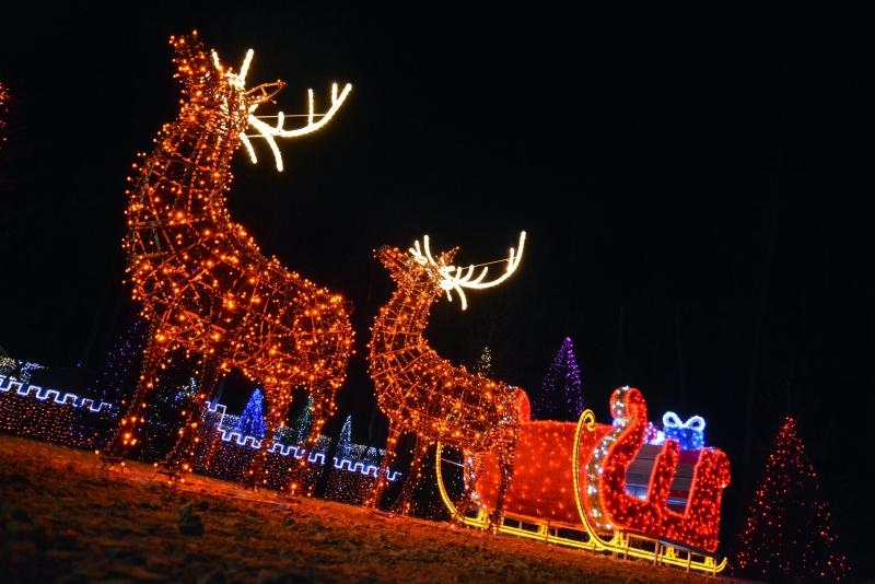 Dva milijuna lampica za božićnu čaroliju na imanju Salaj