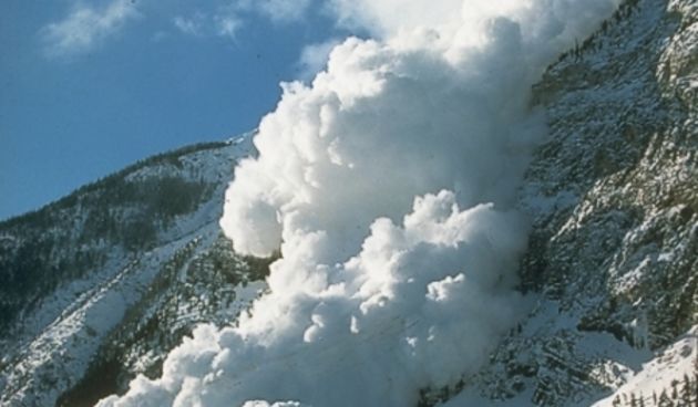 Lavina (Foto:ljk.imag.fr)