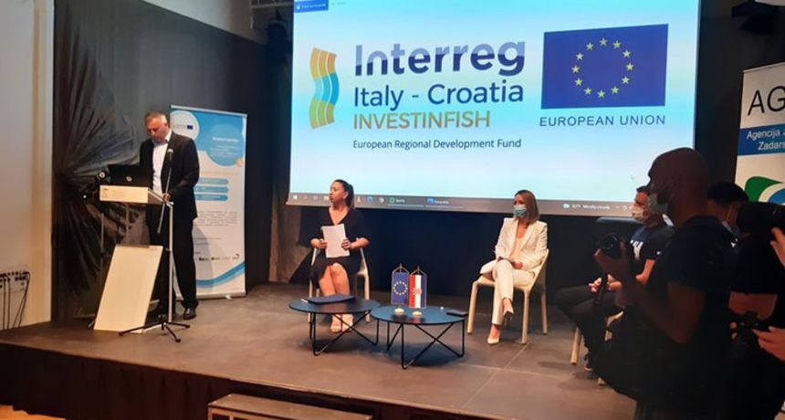 INVESTINFISH, projekt