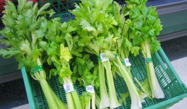 Celer štiti od degenerativnih bolesti mozga (Metro-portal.hr)