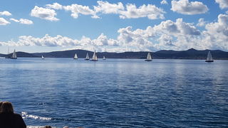 Zadarska Koka 2016. 22. listopada 2016. Foto: Mladen Malik Zadarska Koka 2016. 22. listopada 2016. Foto: Mladen Malik